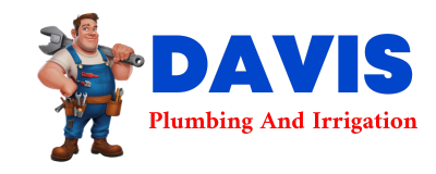 Trusted plumber in EVERSON